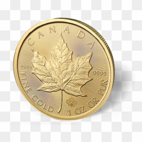 Picture Of 1 Oz Canadian Gold Maple Leaf Coins - Canadian Gold Coin Png, Transparent Png - canadian leaf png