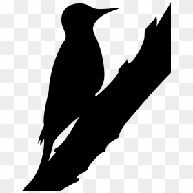 Silhouette Northern Flicker Clipart , Png Download - Northern Flicker Silhouette, Transparent Png - feather silhouette png