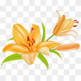 Lily Flower Bouquet Clipart - Flowers Clip Art Lily, HD Png Download - lily flower png
