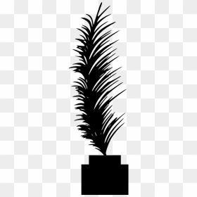 Illustration, HD Png Download - feather silhouette png