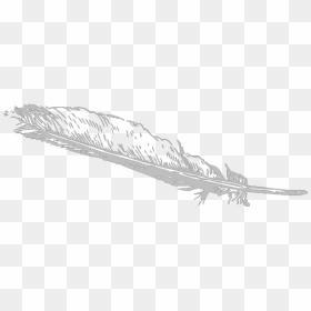 Grey Feather Png Clip Art - Feather Clip Art, Transparent Png - feather silhouette png