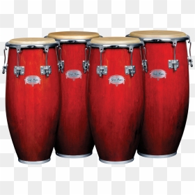 Details About Gon Bops Congas - Gon Bops Congas, HD Png Download - congas png