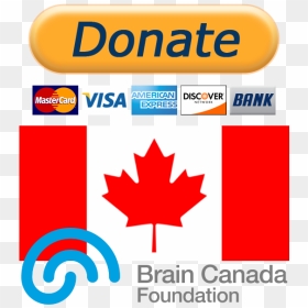 Transparent Brain - Icon Canada Flag Square, HD Png Download - canadian leaf png