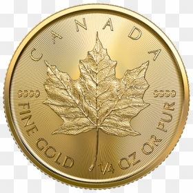 Maple Leaf Gold Coin 1 4 Oz, HD Png Download - canadian leaf png
