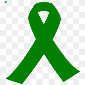 Awareness Ribbon Green Ribbon Liver Cancer Clip Art - Purple Cancer Ribbon Transparent, HD Png Download - liver png