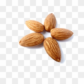 Almond Milk Nut Peel Eating - Almonds Are Bad For The Environment, HD Png Download - almonds png