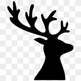 Reindeer Red Deer Antler Elk - Renne Png, Transparent Png - christmas antlers png