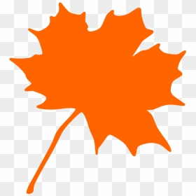 Plant,flower,leaf - Orange Fall Leaves Clip Art, HD Png Download - autumn leaf png