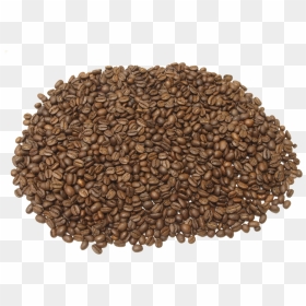 Coffee, HD Png Download - coffee bean vector png