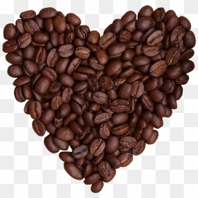 Cocoa Beans Png - Coffee Beans Png Transparent, Png Download - coffee bean vector png