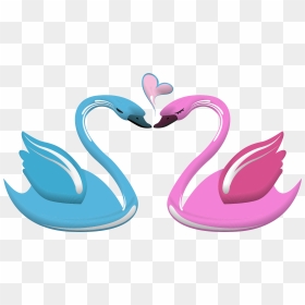 Lovebird Lovebird Black Swan Heart - Swan Love Png, Transparent Png - cartoon heart png