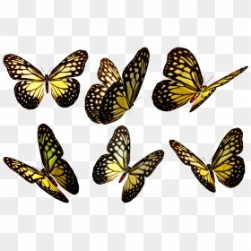 Yellow Butterfly Flying Png , Png Download - Transparent Yellow Butterflies Png, Png Download - yellow butterfly png