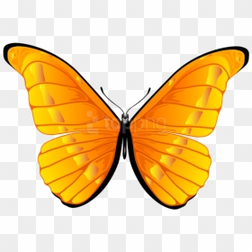 Free Png Download Orange Butterfly Clipart Png Photo - Butterfly Clip Art Png, Transparent Png - yellow butterfly png