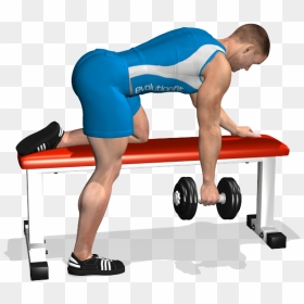 Bent Over Row On Bench, HD Png Download - muscle arm png
