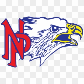 Northland Pines Eagles Logo, HD Png Download - head start logo png