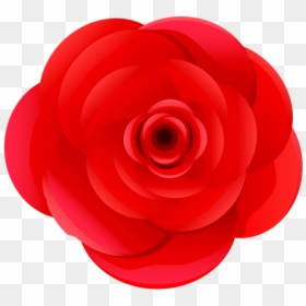 Japanese Camellia, HD Png Download - flower top view png