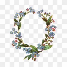 Flower Transparent Forget Me Not, HD Png Download - flower top view png