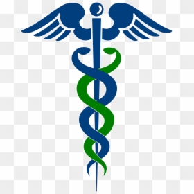 Physician Assistant Clip Art, HD Png Download - vhv