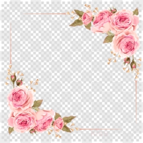Roses Square Frame Png, Transparent Png - single flowers png