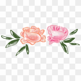 Garden Roses, HD Png Download - single flowers png