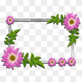 Alfaz Mutradif In Urdu For Class 5, HD Png Download - photo frames png format free download