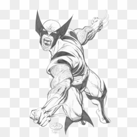 Cartoon, HD Png Download - wolverine claw png