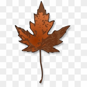 Maple Leaf Clip Art, HD Png Download - dry leaves falling png