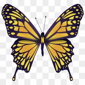 Ulysses Butterfly Png, Transparent Png - yellow butterfly png
