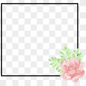 #frame #tumblr #flower #flowerframe #tumblrframe #becreative - Garden Roses, HD Png Download - tumblr flower png