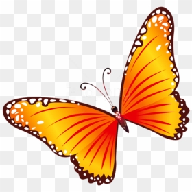 Free Png Download Transparent Orange Butterfly Clipart - Butterfly Clipart Png Transparent, Png Download - yellow butterfly png