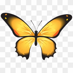 Yellow Butterfly Clipart - Download Gambar Kupu Kupu, HD Png Download - yellow butterfly png