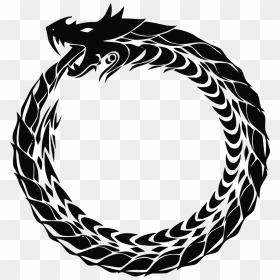Dragon Circle Png, Transparent Png - circle .png