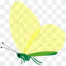 Yellow Butterfly Svg Clip Arts - Clip Art, HD Png Download - yellow butterfly png