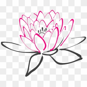 Water Lily Clipart At Getdrawings - Lotus Flower Clipart Green, HD Png Download - florals png