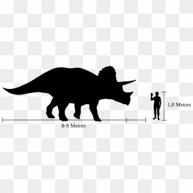 Show Pig Silhouette 9, Buy Clip Art - Triceratops Compared To Human, HD Png Download - pig silhouette png