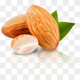 Sandwich Cookies, HD Png Download - almonds png