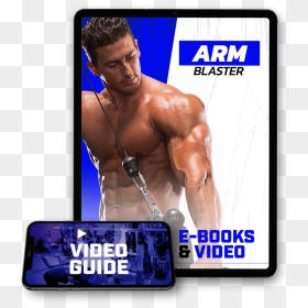 Arm Program - Bodybuilding, HD Png Download - muscle arm png
