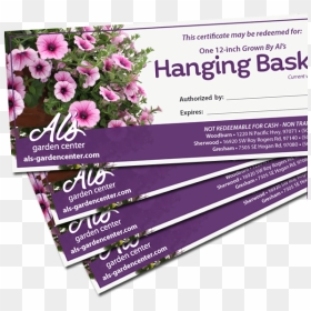 Stack Of Al"s Hanging Basket Vouchers - Flower Basket Fundraiser, HD Png Download - hanging moss png