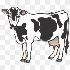 Cattle Clip Art - Cow Clipart Png, Transparent Png - cow.png