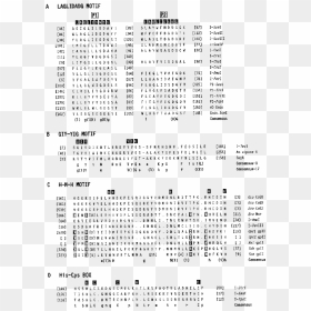 Document, HD Png Download - bracket frame png