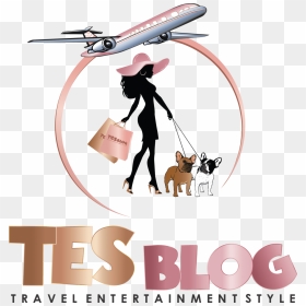 Tes, Tes Blog, Tes Blog Logo, French Bulldogs, French - Mcdonnell Douglas Md-80, HD Png Download - plane silhouette png