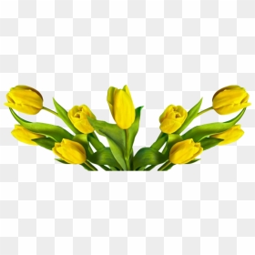 Easter Flower Transparent Png - Easter Flowers Png, Png Download - easter lily png