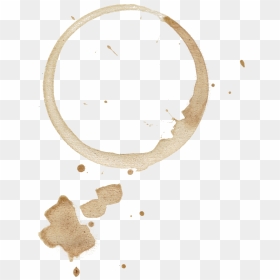 Coffee Stain 2 - Coffee Cup Stain Transparent, HD Png Download - coffee bean vector png
