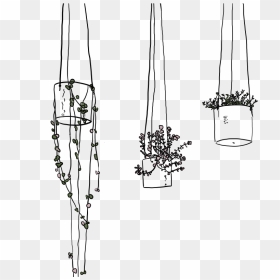 Hanging Drawing Transparent - Hanging Plants Drawing Png, Png Download - hanging moss png