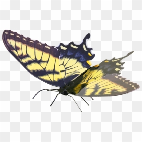 Metal Earth Butterflies - Metal Earth Butterfly, HD Png Download - yellow butterfly png