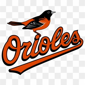 Oriole De Baltimore Baseball, HD Png Download - atlanta braves logo png