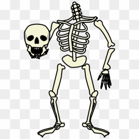 Skeleton Skull Clipart - お化け 骸骨 イラスト, HD Png Download - skeletons png