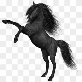 Black Horse Png Picture - Mustang Horse Png, Transparent Png - white horse png