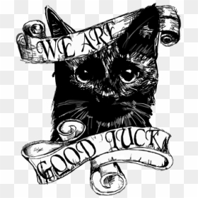 Drawn Black Cat Tumblr Transparent - Black Cat Drawing, HD Png Download - tumblr png black
