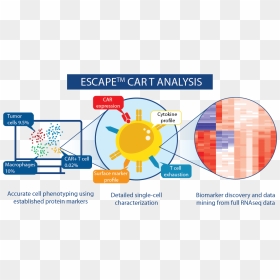 Image Courtesy - Proteona - Proteona Escape Technology, HD Png Download - marker circle png